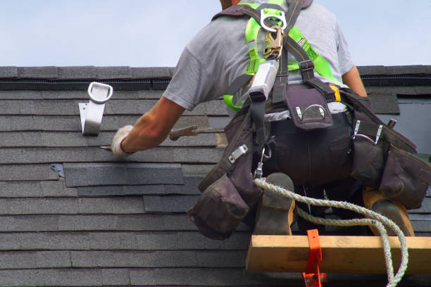 Best Roof Maintenance Services  in Marceline, MO