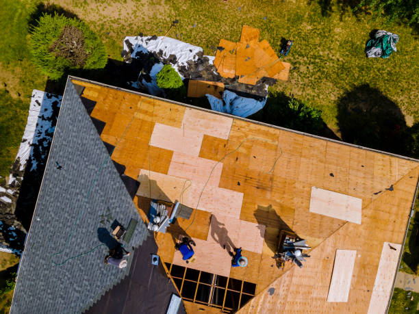 Best Roof Gutter Cleaning  in Marceline, MO