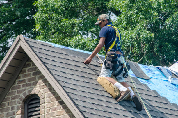 Best Gutter Installation and Roofing  in Marceline, MO